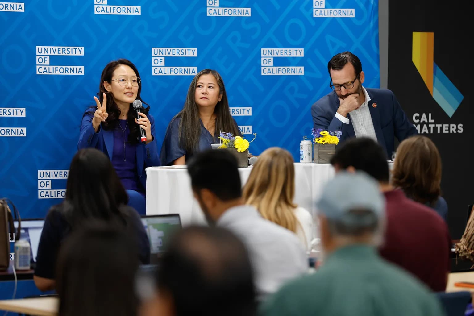 kpbs.org - How California insurance commissioner candidates Jane Kim and Ben Allen measure up