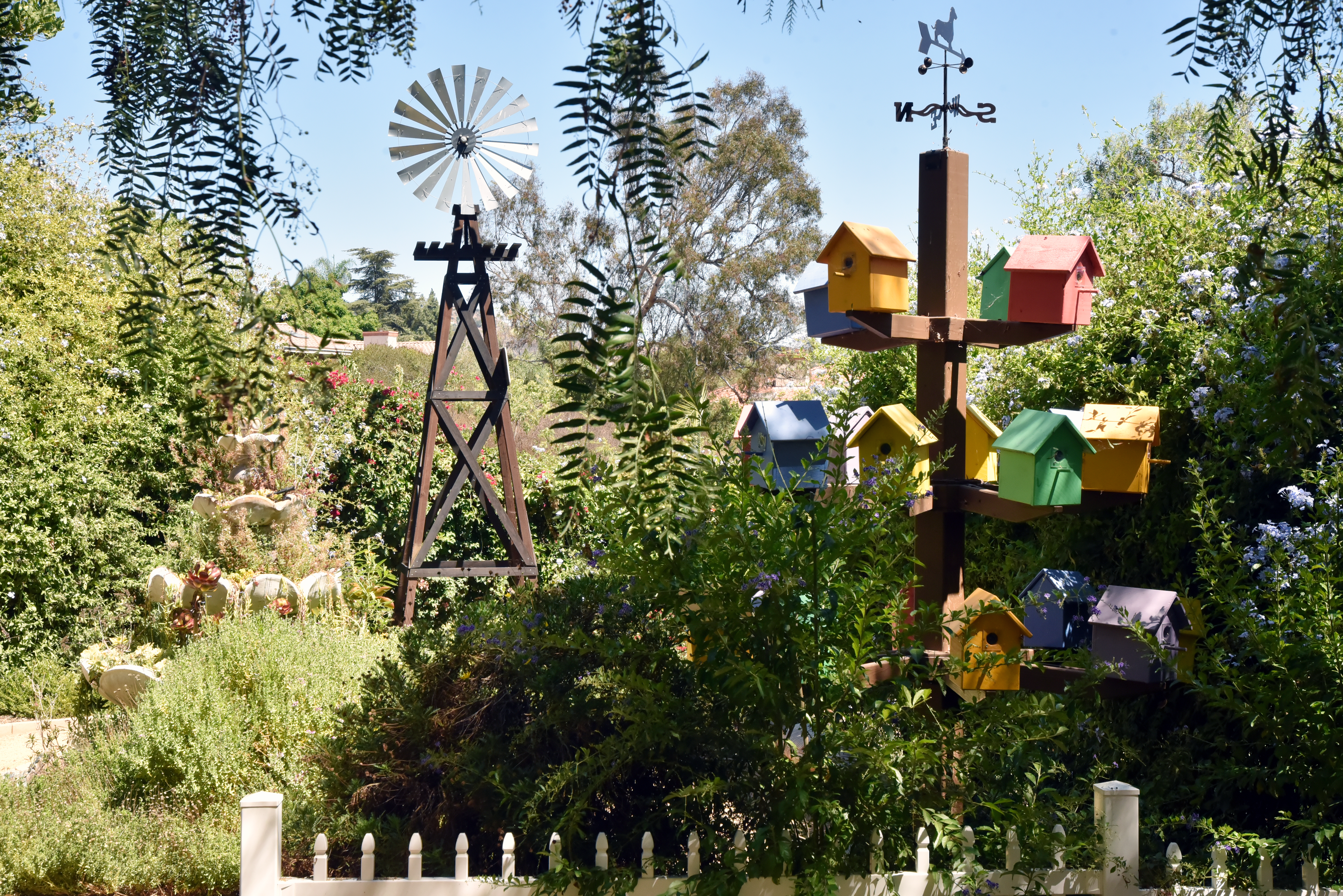Alta Vista Botanical Gardens — Vista's hidden gem — turns 25