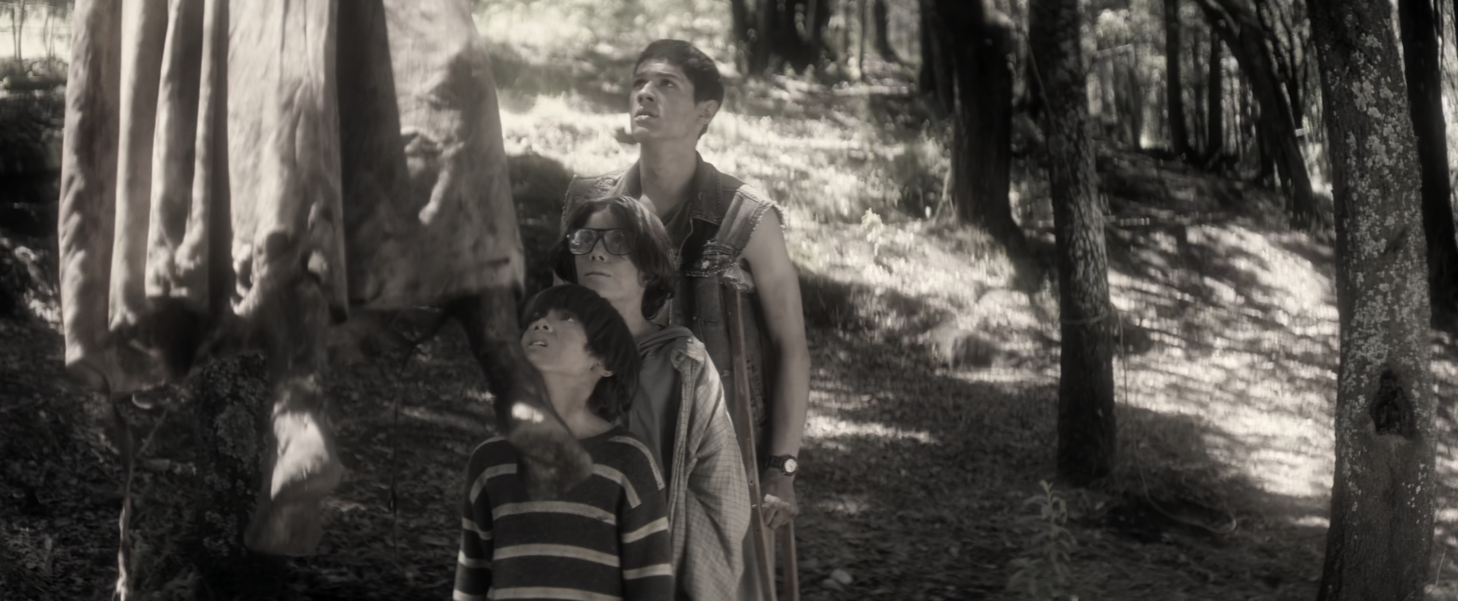 Ladybug \u0026 Cat Noir: The Movie | Miraculous Ladybug Wiki | Fandom, image size:2916x1202