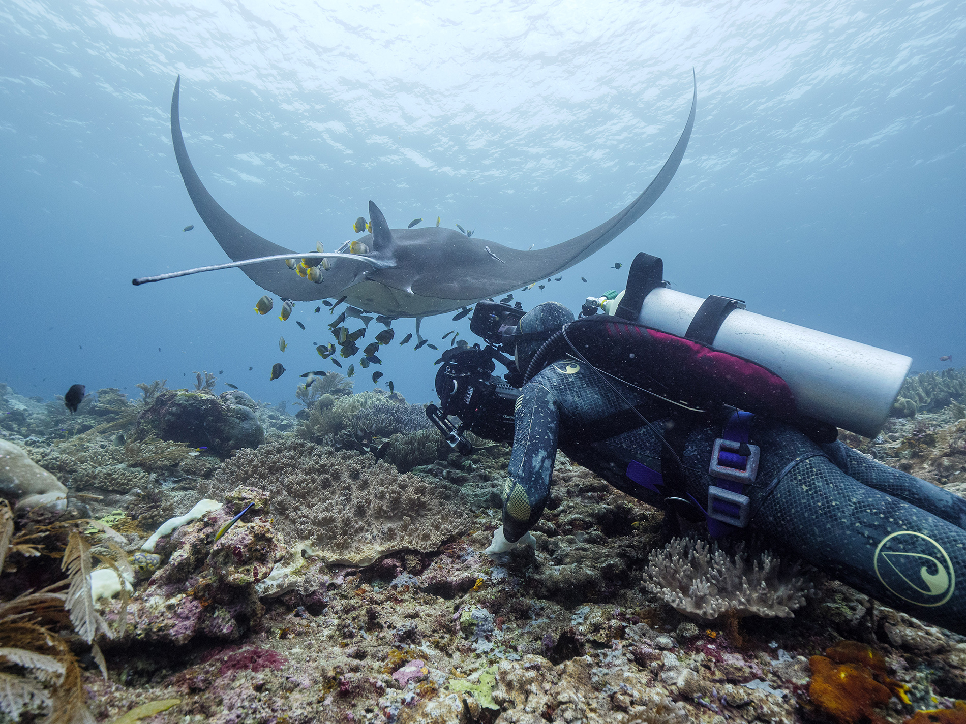 kpbs.org - Jennifer Robinson - SHARED PLANET