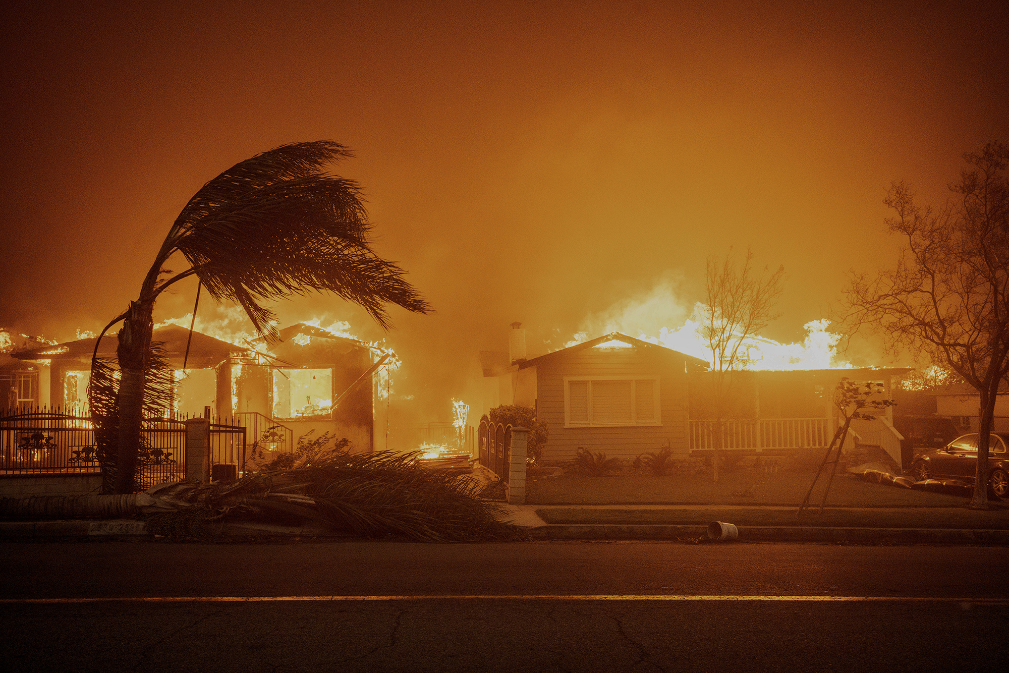 kpbs.org - California chooses its next insurance watchdog amid wildfire crisis