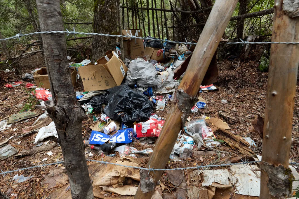 kpbs.org - 'Little death bombs': Illegal cannabis farms poison California's forests. Who's cleaning them up?