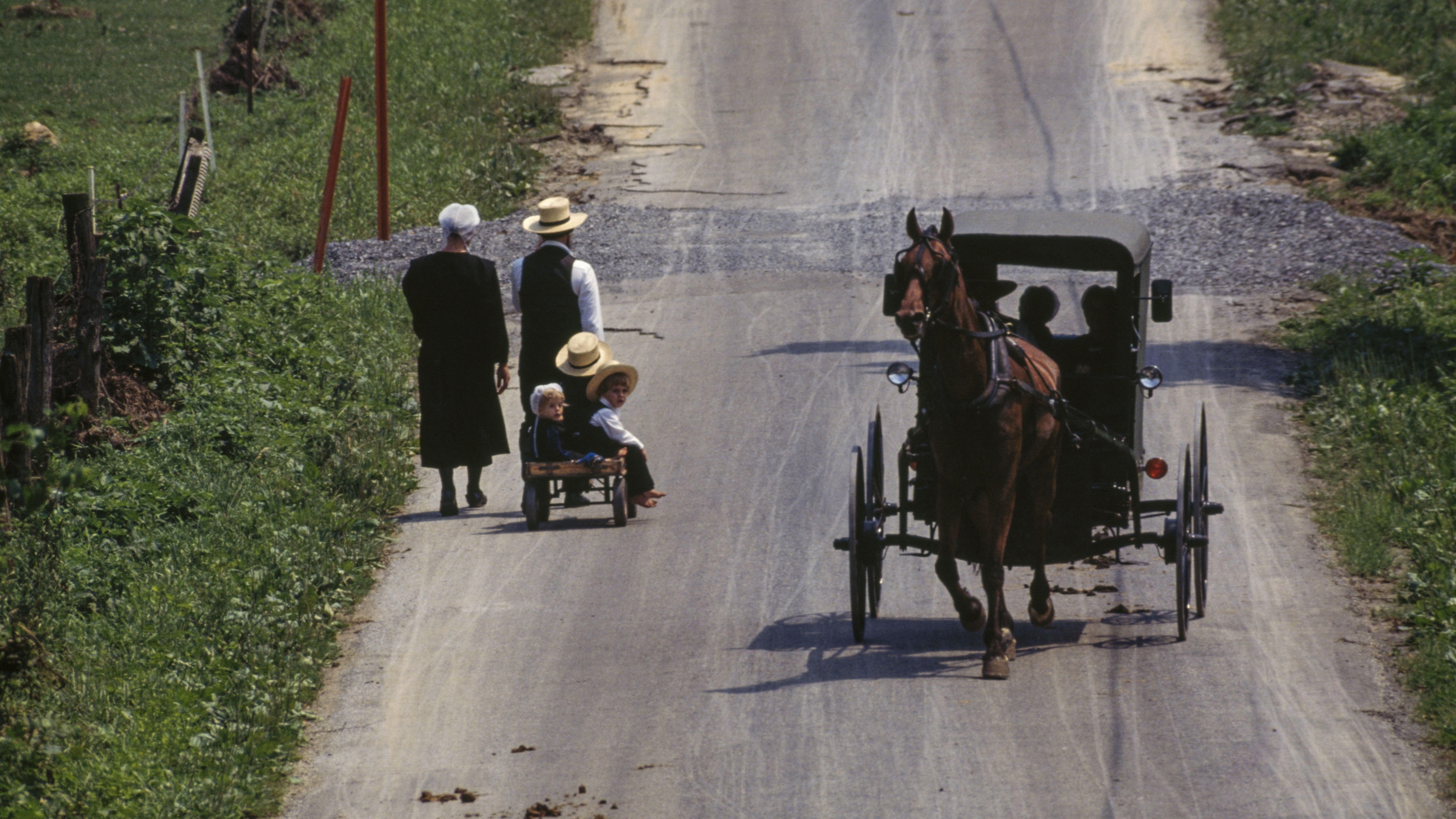 As Amish Leave Farming For Other Work, Some Leave Their Homestead | KPBS Public Media