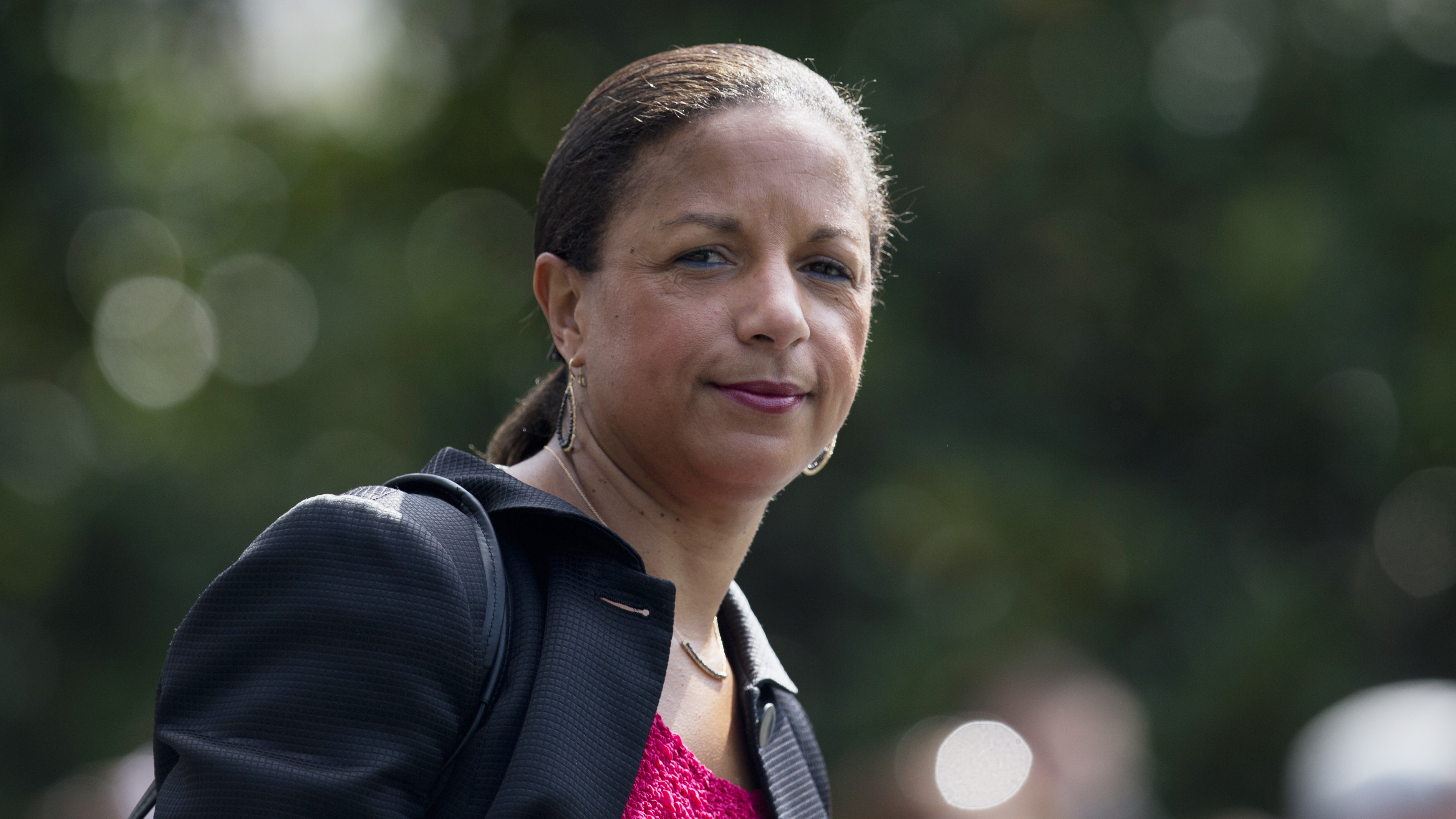 Susan Rice Mustache Susan Rice Banker