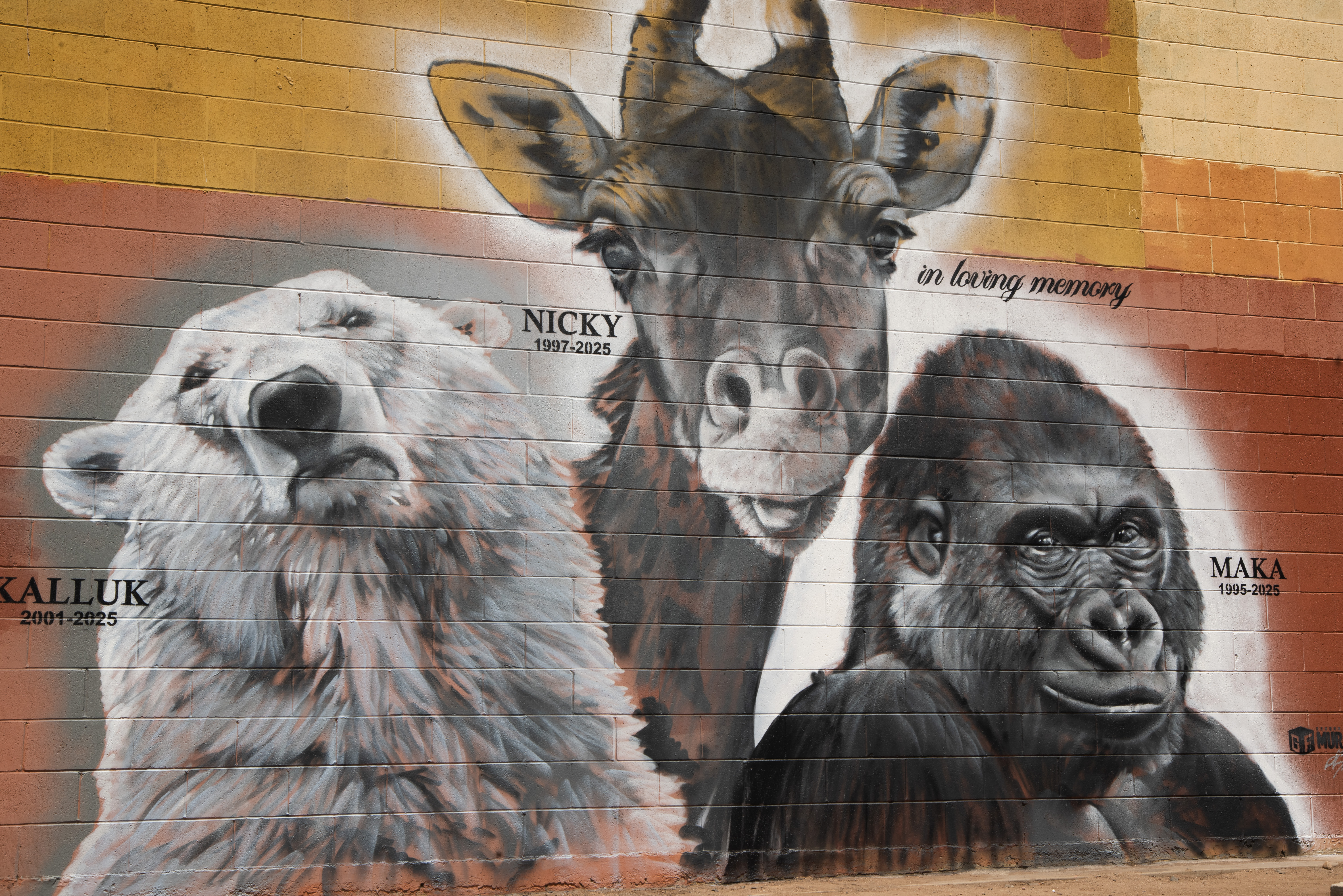 San Diego Zoo mural honors 3 beloved animals lost in 1 week | KPBS
