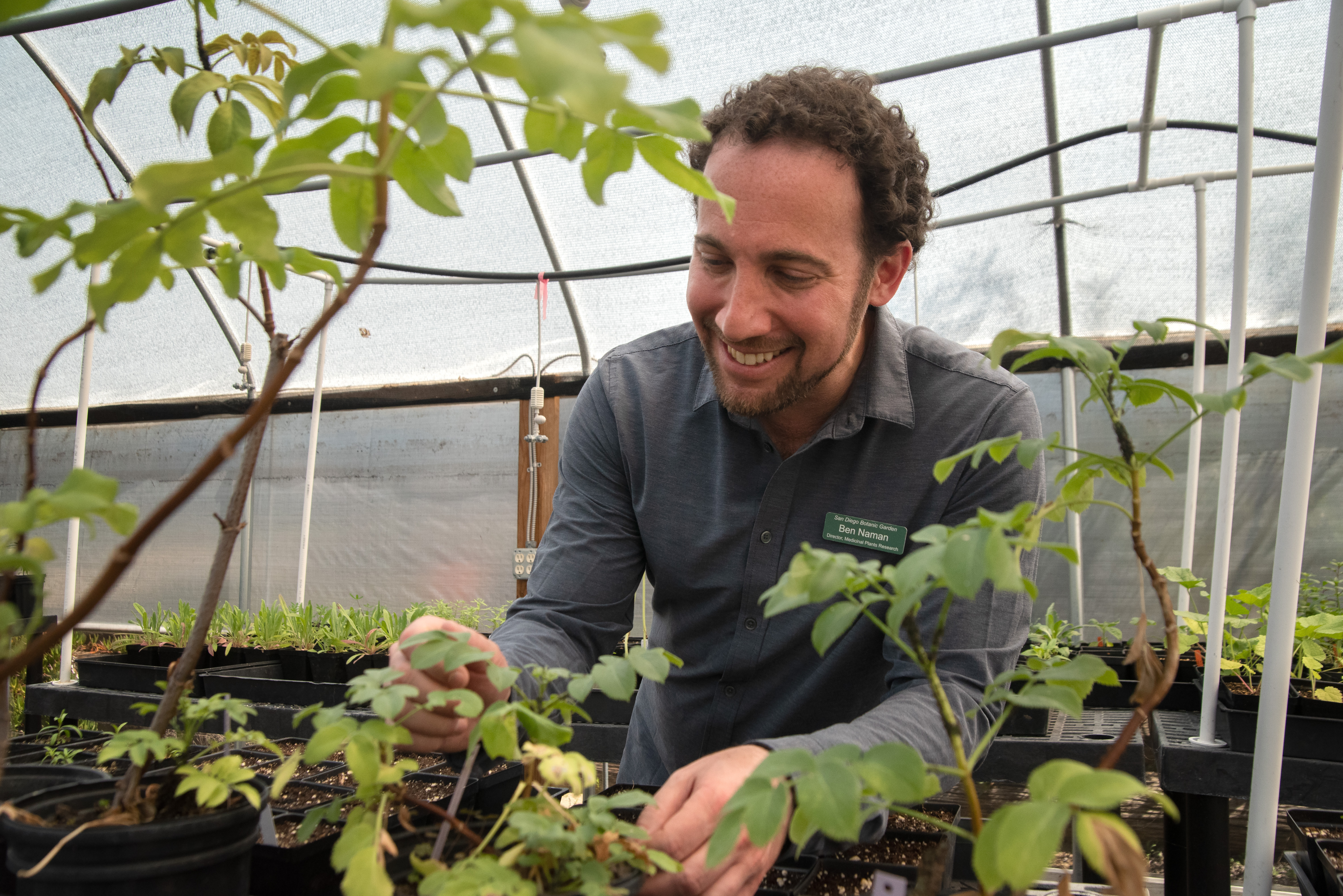 Growing plants with the power to heal | KPBS Public Media