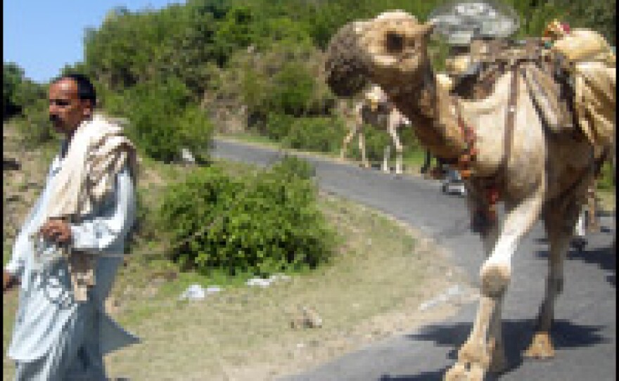 Residents of the district of Buner in northwestern Pakistan have packed up their belongings and livestock and are fleeing the fighting between the army and Taliban militants who overran Buner last week.