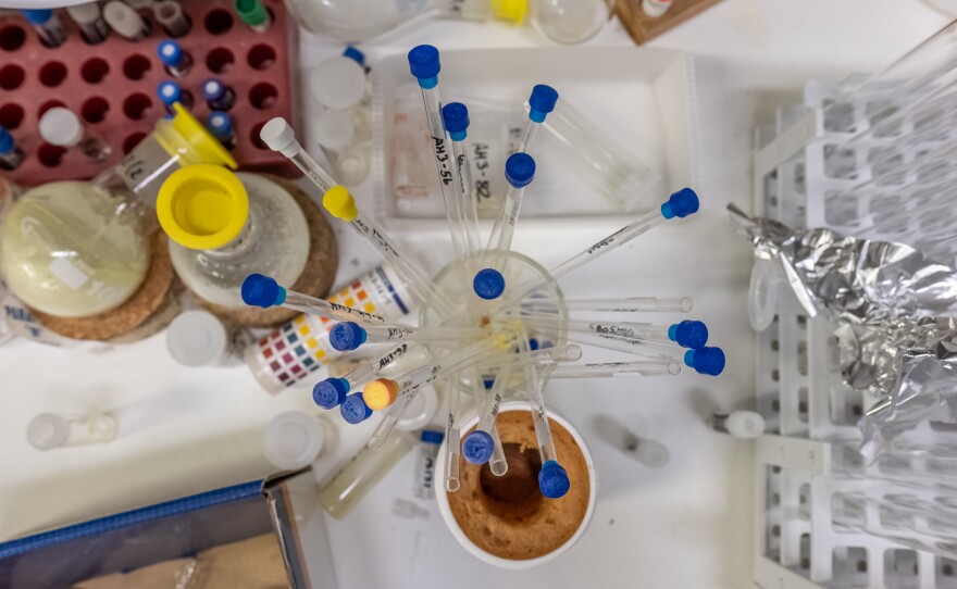 The H3D Centre is filled with fume hoods, flasks, bottles of reagents, and all manner of machines that are used to find new medicines to combat malaria, tuberculosis and antimicrobial resistance.