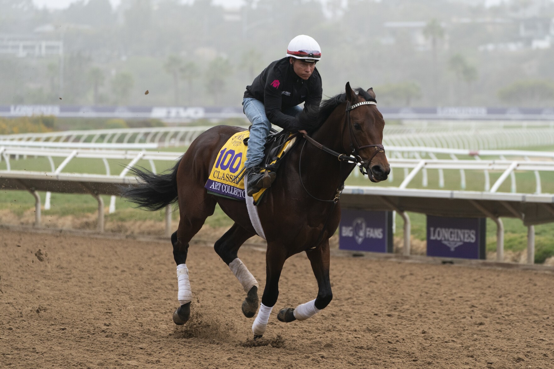 Del Mar to host Breeders' Cup in 2025 KPBS Public Media