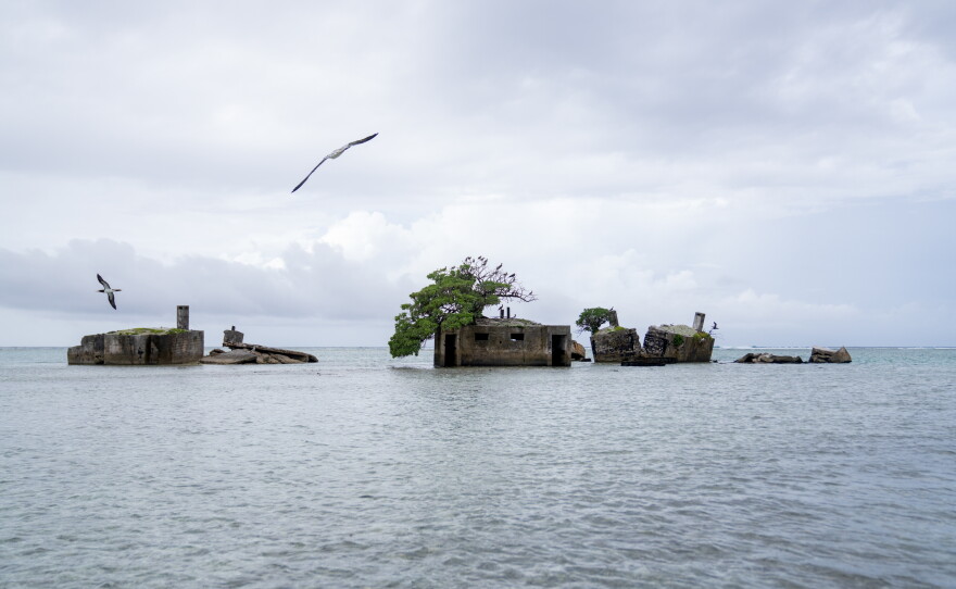 During World War II, the U.S. military built bunkers, supply buildings and a runway on Palmyra Atoll, the remnants of which are still visible today.