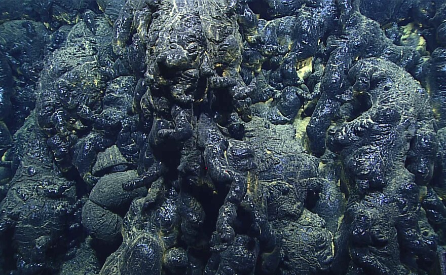 Pillow lava in the Mariana Trench from an eruption that is less than three years old.