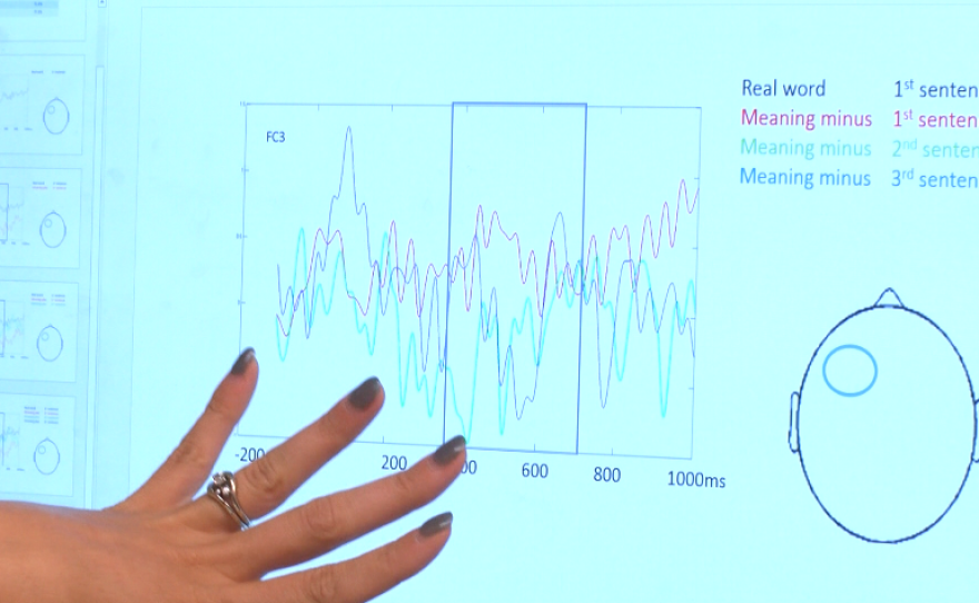 Alyson Abel points to a line graph on her computer that shows brain responses collected from children as they heard sentences that had no meaning, Aug. 29, 2016.