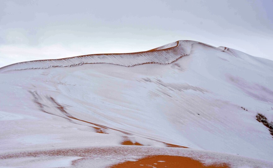 By late afternoon Sunday, the scene had retreated into its typical hues — but not before the snow was memorialized in a few astounding images.