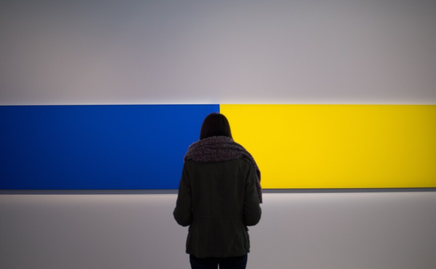 A visitor looks at the artwork Two Panels — Blue-Yellow (1970) by Ellsworth Kelly as part of the exhibition "J'aime les panoramas" (I love the panoramas) at the Museum of European and Mediterranean Civilisations in Marseille, southern France, on Nov. 2.