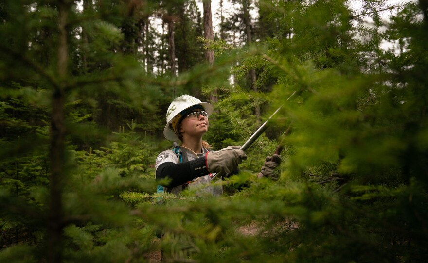Kaile Kimball works on trails near Tally Lake with the Montana Conservation Corps.