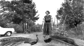 Flannery O’Connor with her peacocks. (undated photo)