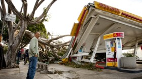 Keith Curo, of Pasadena, stops to look over the damage caused by a fallen tree at a Shell gas station Thursday, Dec. 1, 2011, in Pasadena, Calif. 