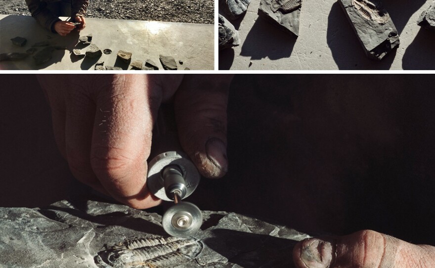 Upper left, clockwise: While I photographed some of the prehistoric finds, a quarry guide prepped one fossil by sanding the shale away from the preserved remains.