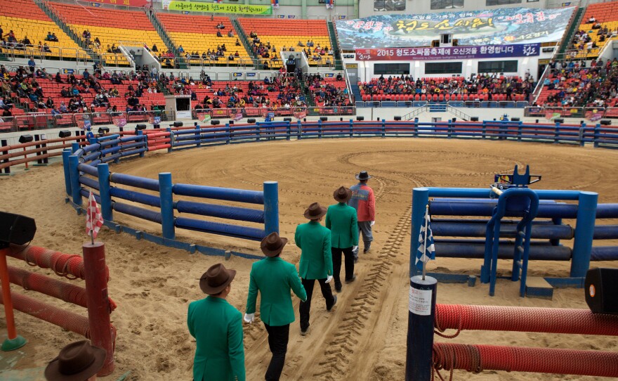 The judges, wearing green blazers, white gloves and cowboy hats, enter the 10,000-seat stadium and take their places before the bullfighting begins.