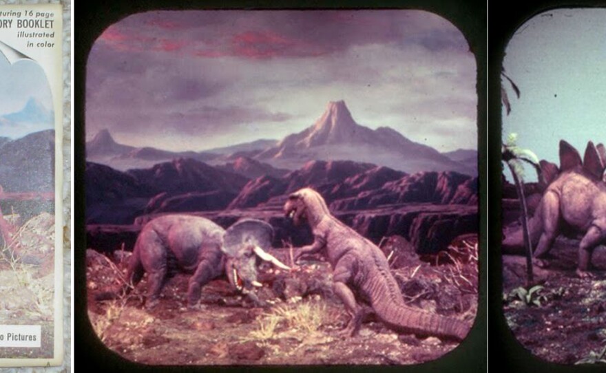 I had these exact same ViewMaster dinosaur slides as the young boy in the film. That brought back happy memories.