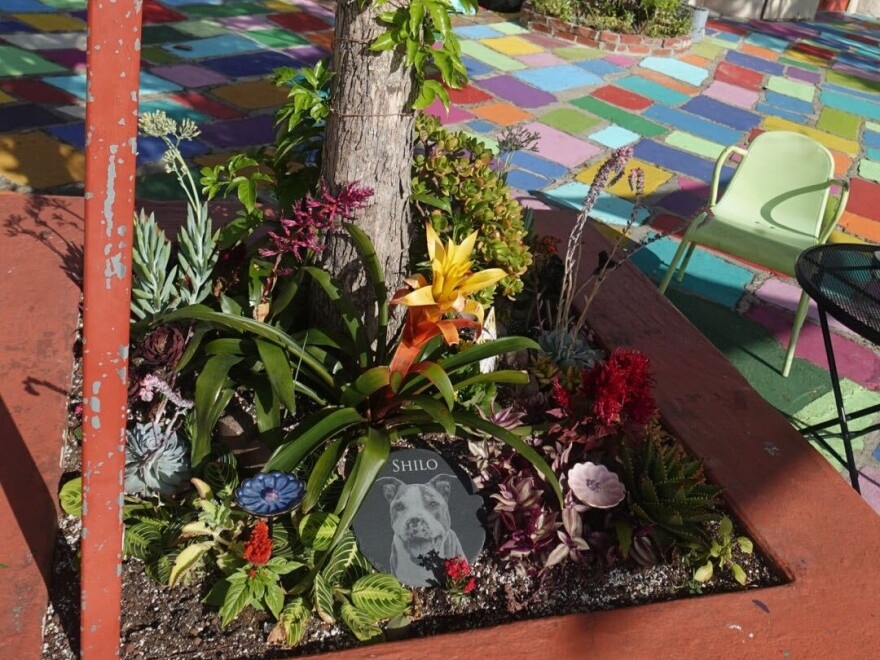Amanda Moschella planted this garden at Spanish Village Art Center in honor of her late dog, Shilo. The garden was photographed Sept. 14, 2026.