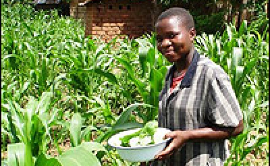 Martha Phiri, 18, forages for pumpkin leaves to make a free lunch. She dreams of continuing her studies one day if the family can find the money.