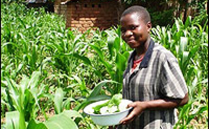 Martha Phiri, 18, forages for pumpkin leaves to make a free lunch.  She dreams of continuing her studies one day if the family can find the money.