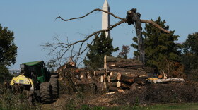 Workers remove downed trees from the East Potomac golf course on Monday.