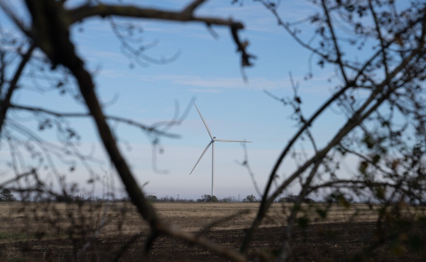 A wind turbine can be seen through a stand of trees in Ukraine's Mykolaiv region.