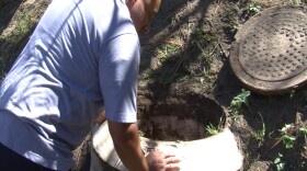 Marvin Gonzalez, field supervisor with Leucadia Wastewater District in Carlsbad, inspects a manhole filled with tree roots, Sept. 3, 2015. 