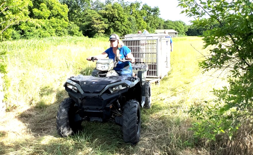 Lions, Tigers and Bears founder and director Bobbi Brink is shown hauling a trailer containing Kallie the tiger away from where she was found abandoned in rural Oklahoma in this undated photo.