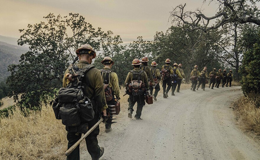 Firefighters in "Wildland."