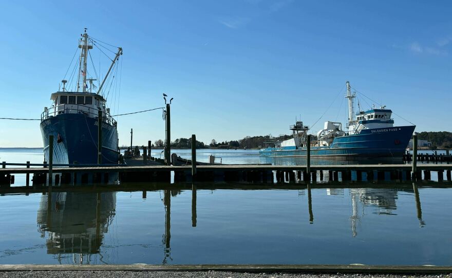 Omega Protein's boats docked along Cockrell's Creek at the company's menhaden plant in Reedville, Virginia.