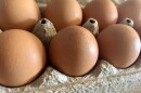A carton of eggs is shown on Aug. 17, 2026.