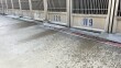 Dog kennels at the San Diego County animal shelter in Bonita with water overspray from an employee cleaning the enclosures with a hose, shown on April 24, 2026.