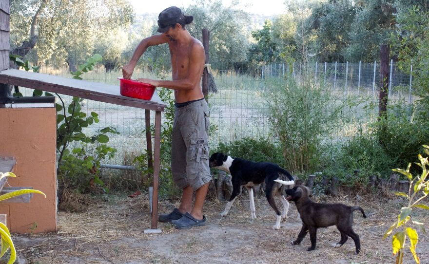 Apostolos Sianos, 31, quit his Web designer job in Athens to help establish the Telaithrion eco-commune. Here he mixes food for the commune's dogs.
