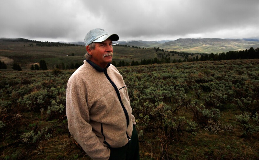 George Johnson, burn boss for The Nature Conservancy, surveys land he was hoping to burn, but wet weather postponed the burn to the fall. In a truly natural environment, the pine trees growing in the background would not be present.