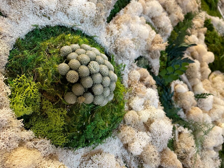 close up of Britton Neubacher's moss and preserved botanical sculpture