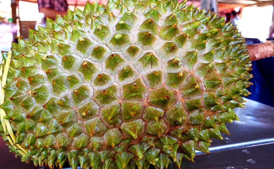 A Malaysian Musang King durian, much sought after by consumers in China.