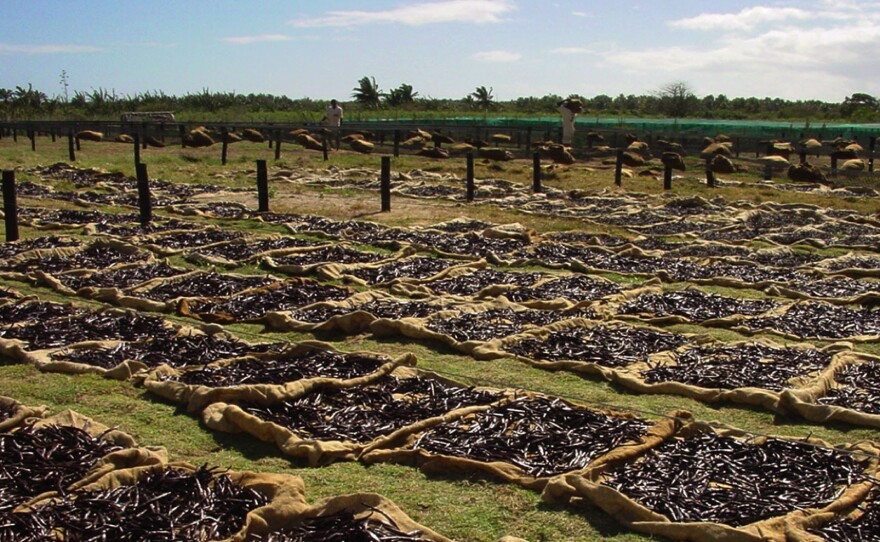 Vanilla pods dry in the sun in northwest Madagascar's Ambanja region, releasing their scent for miles around.