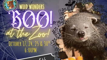 Boo! At the Zoo