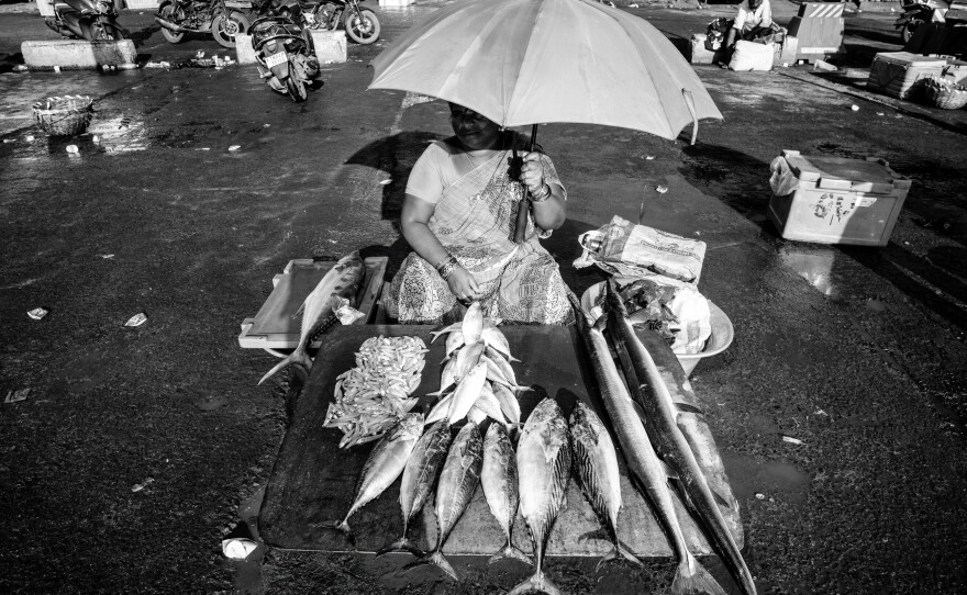 A fish vendor displays her catch at Kasimedu Fishing Harbour in Chennai, India, a hub for fishermen, wholesalers and local sellers.