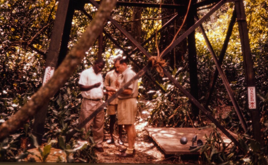 Alexander John Haddow, in shorts, stands beneath a six-story tower constructed for "human bait" to stand and await mosquito bites.