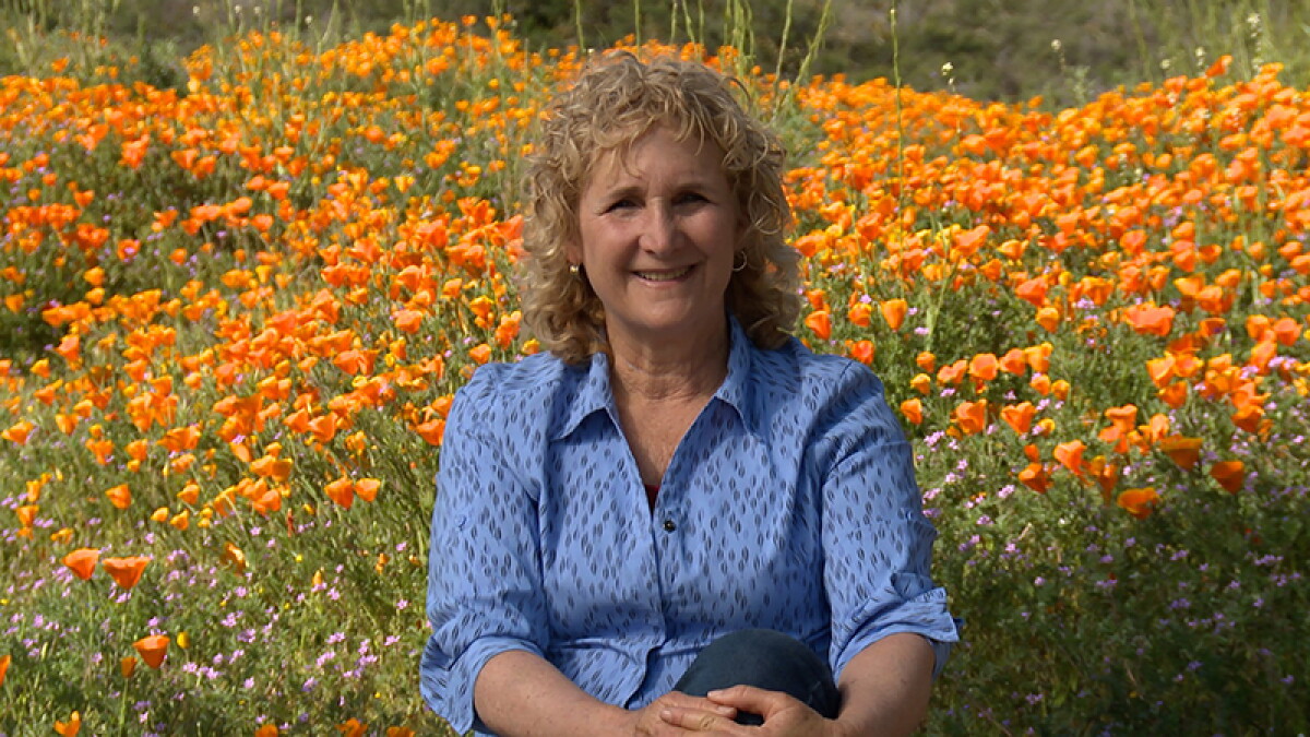 Your gardening questions answered - Vimarsana News
