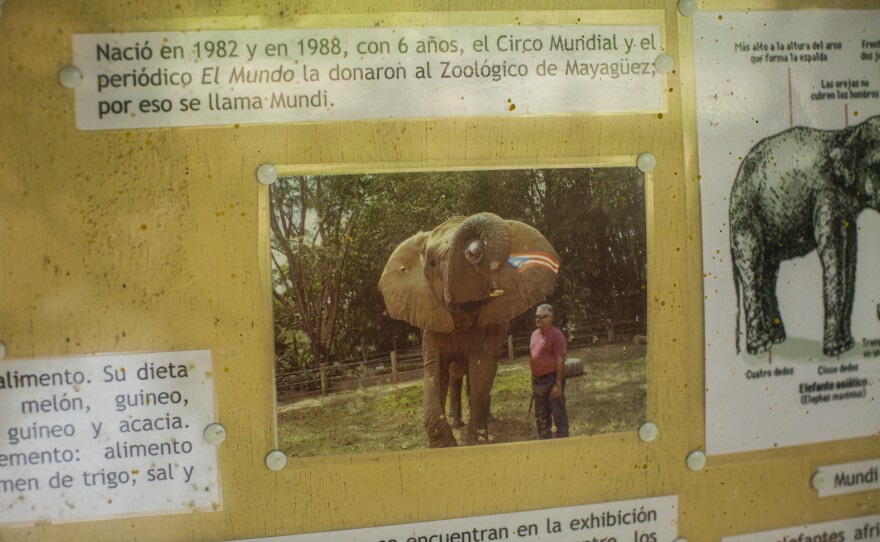 An informative display near Mundi's enclosure.