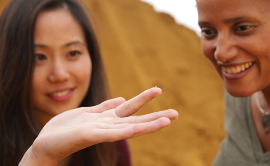 Volunteers Lindsay Ip and Sian Proctor look at a grain of sand which represents a single star.