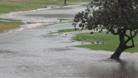 A river of rain water gushes through the Mission Trails Golf Course after four straight days of showers, in San Diego, California on Dec. 21, 2010.