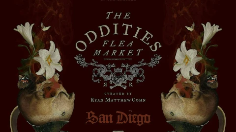 Oddities Flea Market