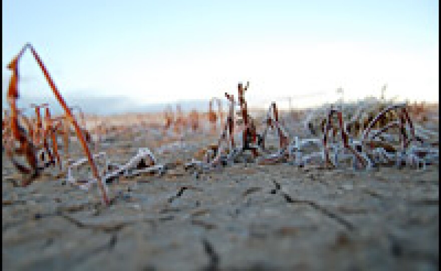 Signs that the Yellow River is running out of water abound.