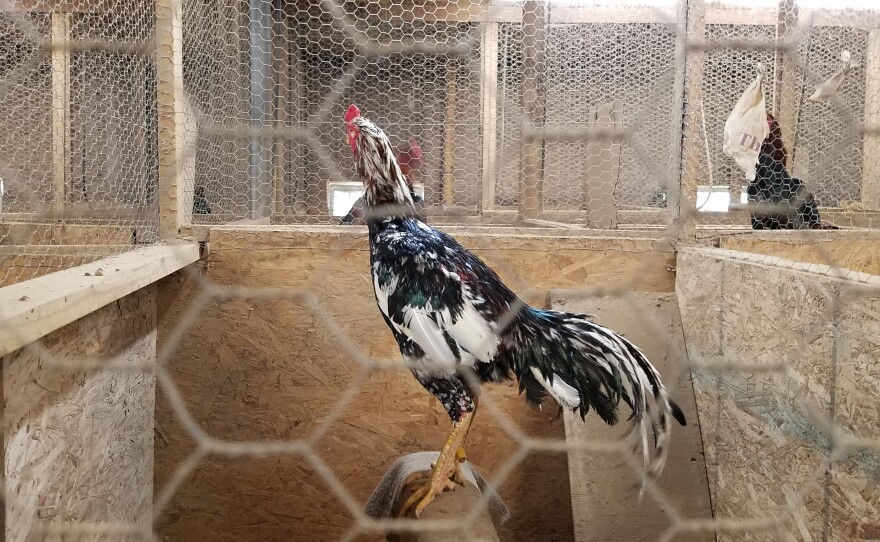 The animals were seized from a residence in Pierce County, Wis.